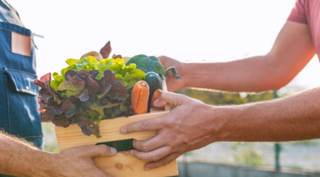 Filling Jobs and Keeping the Food Supply Safe