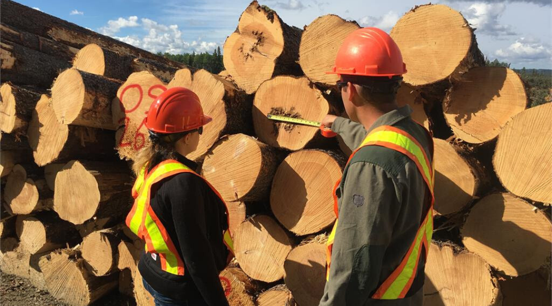 Forest Industry Commends Government for Dues Deferral
