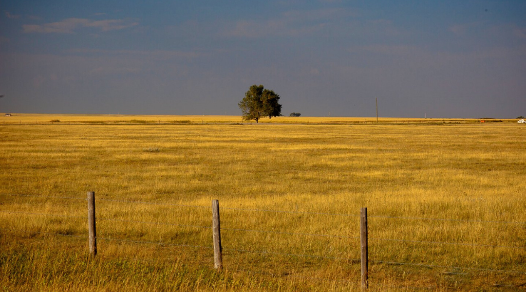 New Report Outlines Result of Largest Coordinated Homeless Count in Rural Alberta