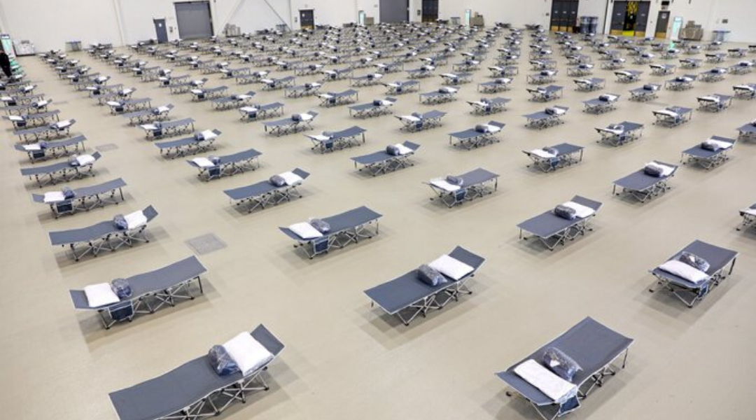 Update 19: COVID-19 Pandemic in Alberta