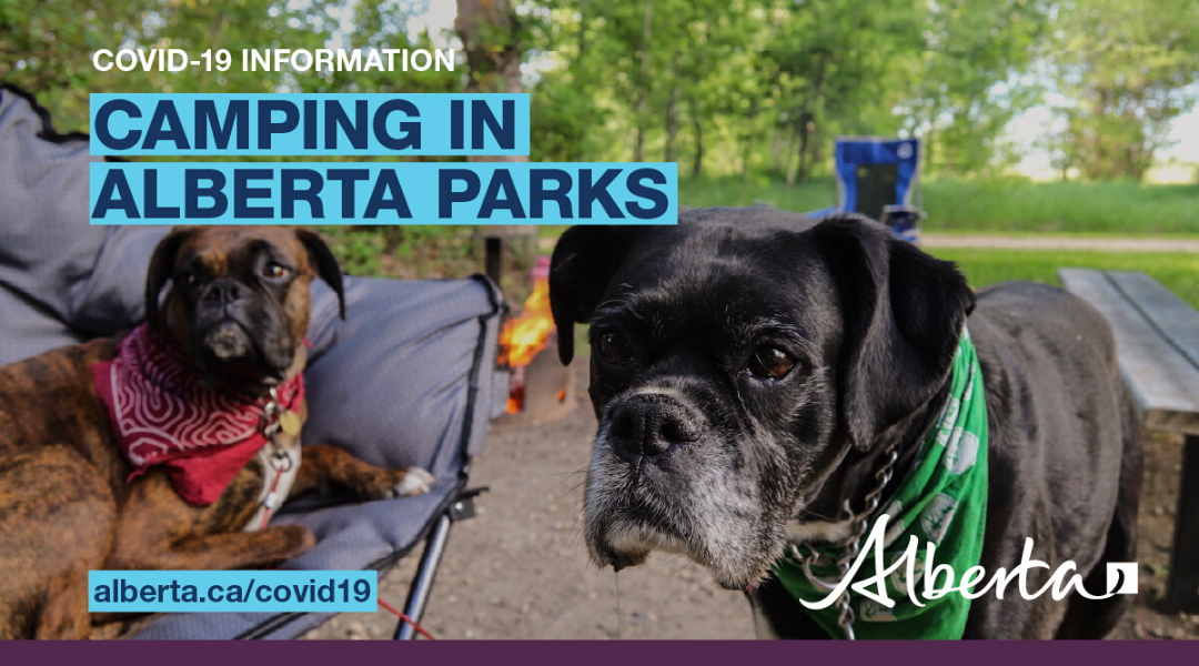 Camping in Alberta’s Parks