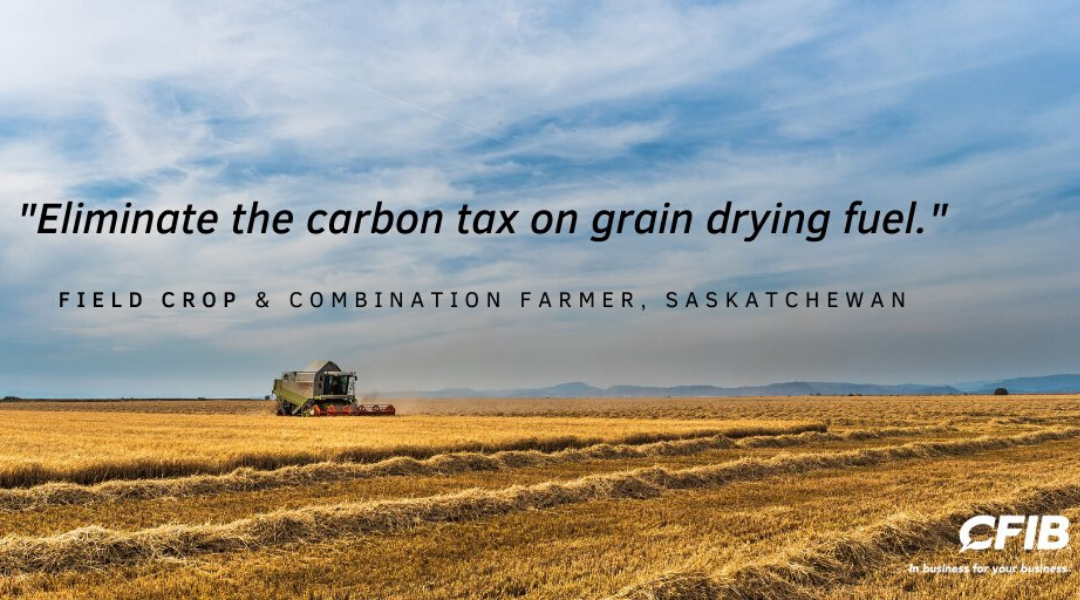 Farmers Still Require Urgent Help Amid Supply Chain Interruptions, Labour Shortages and Mounting Costs