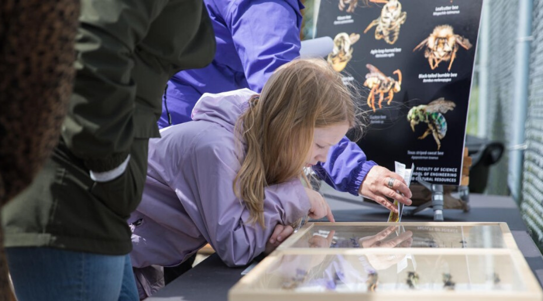 UCalgary Named a Bee Campus for Bee-ing Stewards of our Landscape