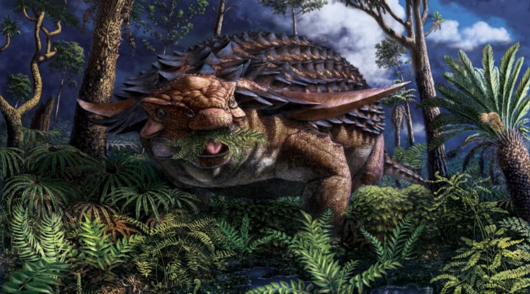 A Nodosaur’s Last Meal