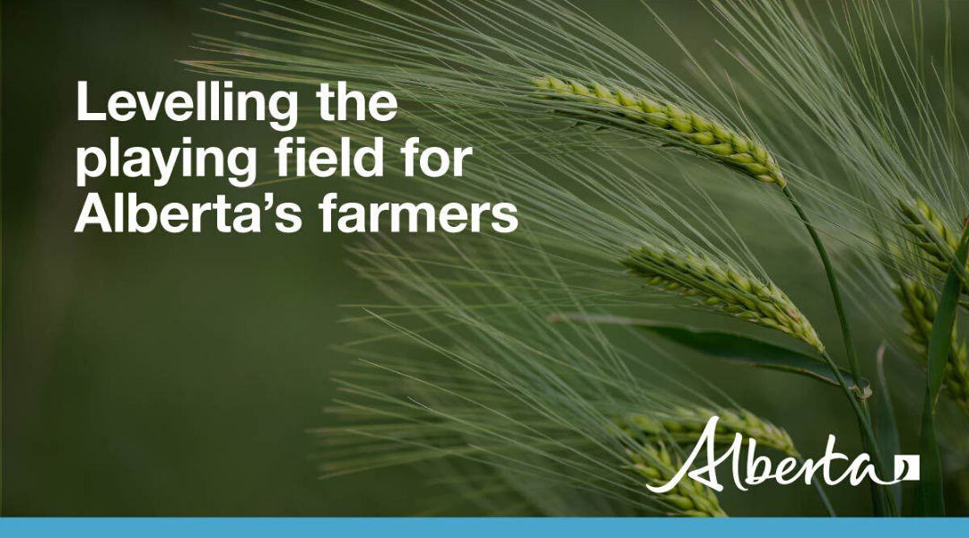 Helping Alberta’s Farmers Stay Competitive