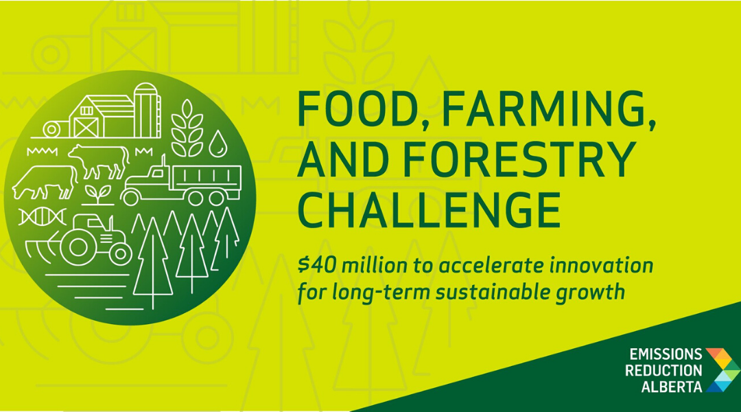 Strengthening Agriculture, Agri-food and Forestry Sectors